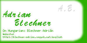 adrian blechner business card